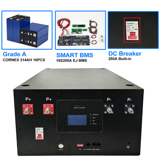 Deligreen 16kWh Lithium Ion Completely Battery Pack 51.2V 314AH LiFePO4 Battery